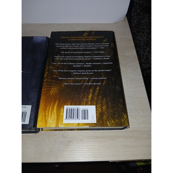 Lot of 4 Hardcover Books Dark Peril, Rapture, Blackthorn Key & Cinderella Murder - Picture 15 of 15